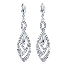 Load image into Gallery viewer, Women Hanging Crystal Long Drop Earrings freeshipping - Tyche Ace