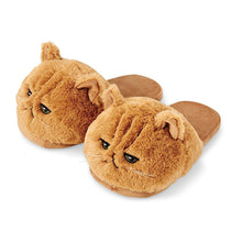 Load image into Gallery viewer, Women Kitten Soft Plush Bedroom Slippers freeshipping - Tyche Ace