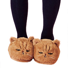 Load image into Gallery viewer, Women Kitten Soft Plush Bedroom Slippers freeshipping - Tyche Ace