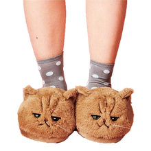 Load image into Gallery viewer, Women Kitten Soft Plush Bedroom Slippers freeshipping - Tyche Ace