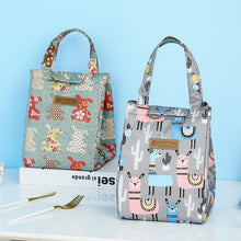 Load image into Gallery viewer, Women Multicolour Waterproof Portable Thermal Lunch Picnic Bag freeshipping - Tyche Ace