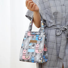 Load image into Gallery viewer, Women Multicolour Waterproof Portable Thermal Lunch Picnic Bag freeshipping - Tyche Ace