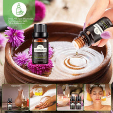 Load image into Gallery viewer, 10ML Pure Essential Oil Diffuser Sets freeshipping - Tyche Ace
