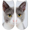 3D Cat Print Cotton Socks for Men & Women freeshipping - Tyche Ace