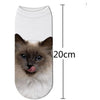 3D Cat Print Cotton Socks for Men & Women freeshipping - Tyche Ace