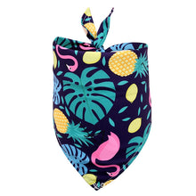 Load image into Gallery viewer, Summer Tropical Fruit Design Bandana For Dogs Cats
