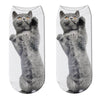 Unisex Cute 3D Cat Image Design Most Comfortable Ankle Socks freeshipping - Tyche Ace