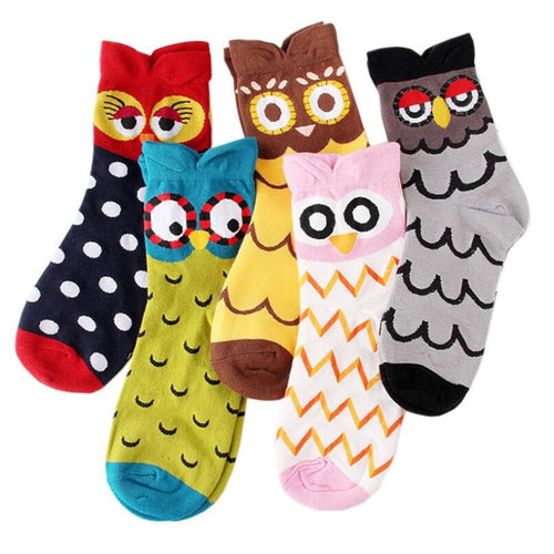 5 Pack 3D Owl Cartoon  Design Cute Socks For Women freeshipping - Tyche Ace