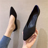 Women Flat Heel Pointed Toe Shoes