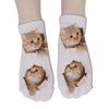 Unisex Cute 3D Cat Image Design Most Comfortable Ankle Socks freeshipping - Tyche Ace
