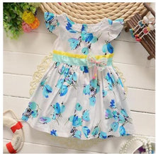 Load image into Gallery viewer, Baby Girls Lace Princess Party Dress freeshipping - Tyche Ace
