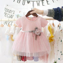 Load image into Gallery viewer, Baby Girls Lace Princess Party Dress freeshipping - Tyche Ace
