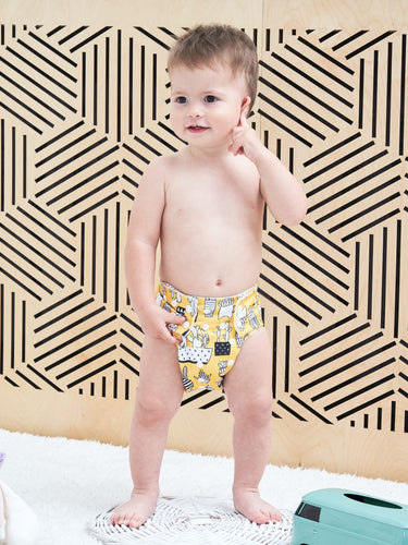 Baby Washable Reusable Cloth Pocket Nappy Diapers freeshipping - Tyche Ace