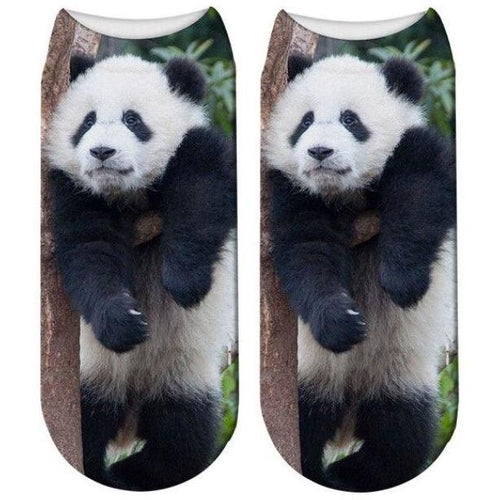 Free + Shipping 3D Panda Print Men & Women Cotton Socks Offers freeshipping - Tyche Ace