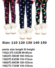 Load image into Gallery viewer, Winter Colorful Print Flower Butterfly Soft Warm Girls Leggings
