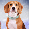 Pet Dog Customized Printed Nylon Collar Nylon Engraved Collar freeshipping - Tyche Ace