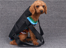 Load image into Gallery viewer, Pet Eco Friendly Breathable Carrier Back Packs freeshipping - Tyche Ace
