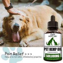 Load image into Gallery viewer, Pet Natural Hemp Essential Pain Relief Oil freeshipping - Tyche Ace
