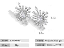 Load image into Gallery viewer, Stunning Women Exquisite Zirconia Stone Stud Earrings freeshipping - Tyche Ace
