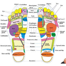 Load image into Gallery viewer, Unisex Magnetic Insoles Weight Loss Acupressure Weight Loss Shoe Sole Pads freeshipping - Tyche Ace
