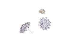 Load image into Gallery viewer, Women Austrian Zircon Elegant Flower Stud Earrings freeshipping - Tyche Ace
