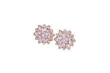 Load image into Gallery viewer, Women Austrian Zircon Elegant Flower Stud Earrings freeshipping - Tyche Ace
