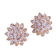 Load image into Gallery viewer, Women Austrian Zircon Elegant Flower Stud Earrings freeshipping - Tyche Ace
