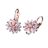 Women Clear Crystal Flower Cluster Earrings freeshipping - Tyche Ace