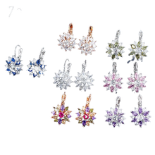 Load image into Gallery viewer, Women Clear Crystal Flower Cluster Earrings freeshipping - Tyche Ace
