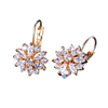 Women Clear Crystal Flower Cluster Earrings freeshipping - Tyche Ace