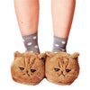 Women Kitten Soft  Plush Bedroom Slippers freeshipping - Tyche Ace