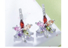 Women Multi Colour Cubic Zirconia Stud Earrings freeshipping - Tyche Ace