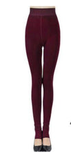 Load image into Gallery viewer, Women Thick Warm High Waist Velvet  Leggings freeshipping - Tyche Ace
